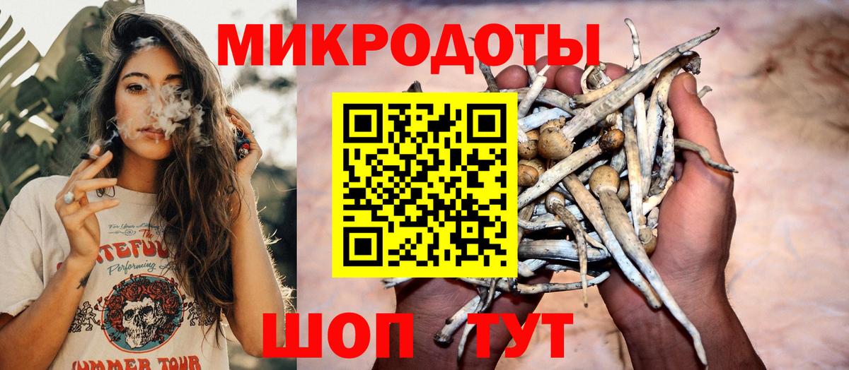 Псилоцибиновые грибы MAGIC MUSHROOMS  Вход с VPN  закладки  Псилоцибиновые грибы Psilocybine cubensis  Прохладный 