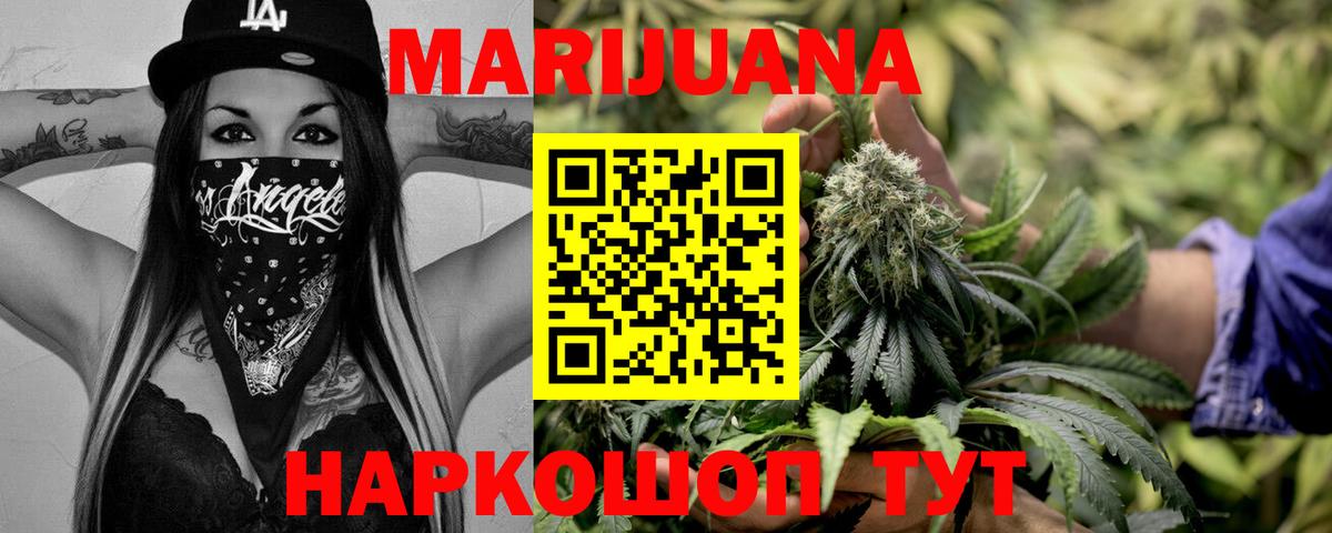 Канабис планчик  Вход с VPN  Прохладный  Конопля семена  Каннабис SATIVA & INDICA 